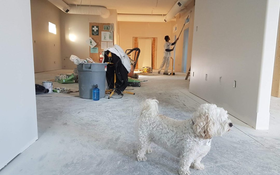 All you Have to Know About Condo Renovation