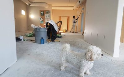 All you Have to Know About Condo Renovation